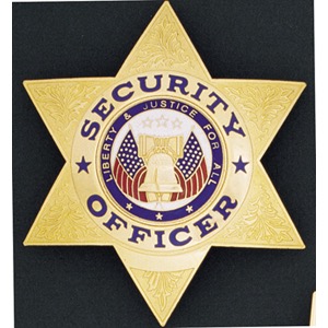 SECURITY OFFICER SILVER 7-POINT STAR BADGE