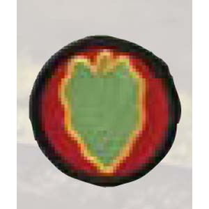 24th Infantry Div
