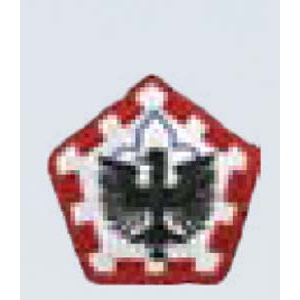 555th Engineer Gp