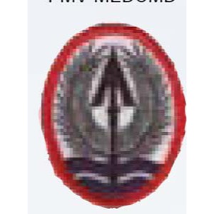 Multinational Corps