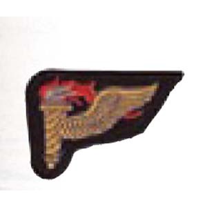Pathfinder Patch Mer